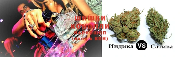 СК Балахна
